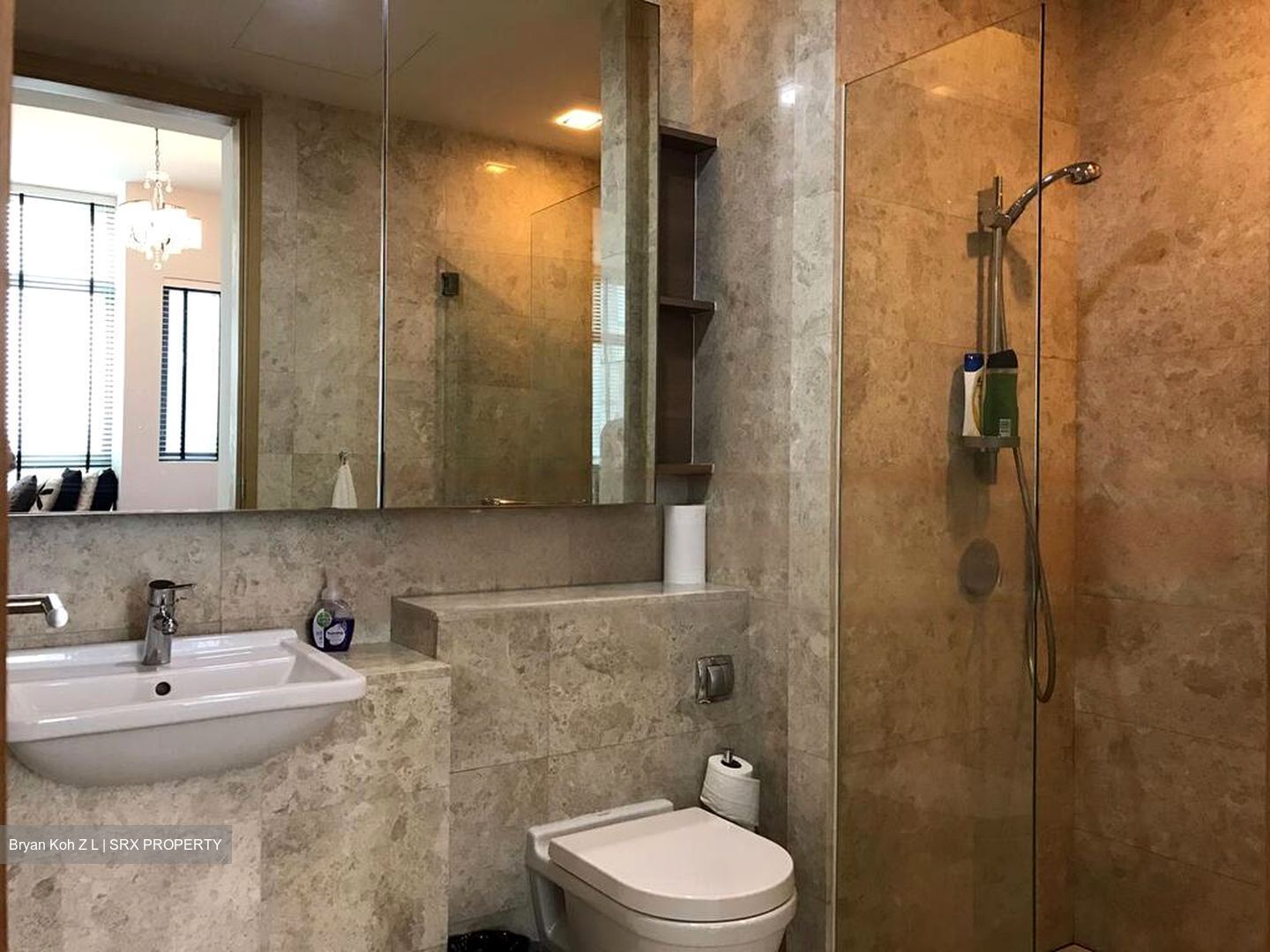 Soleil @ Sinaran (D11), Condominium #458663351